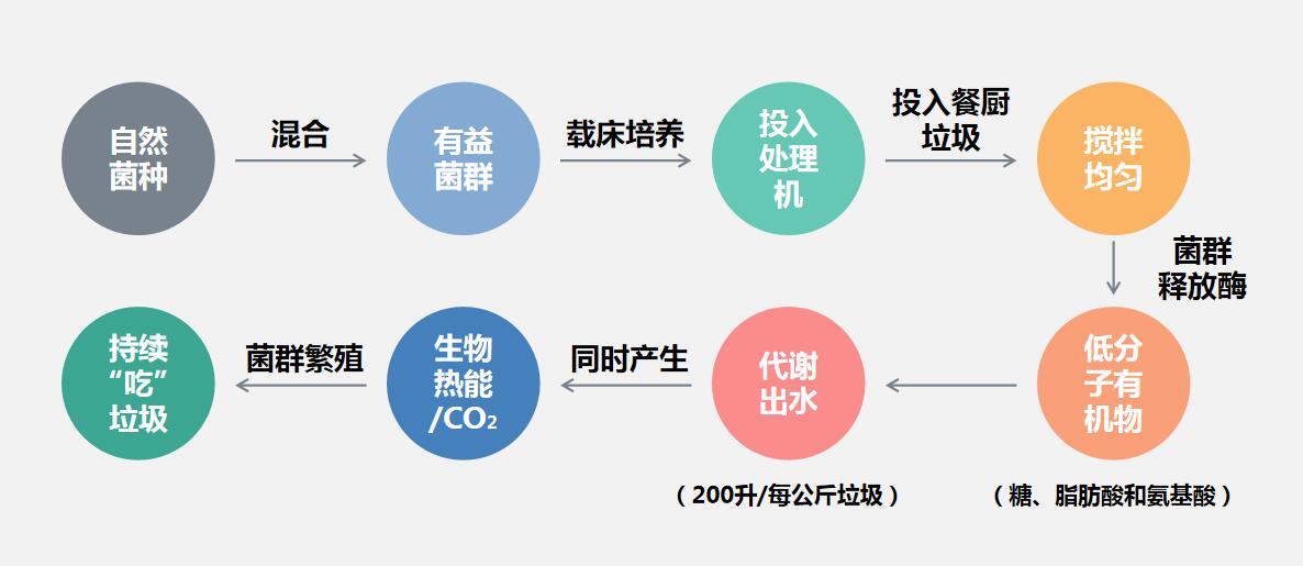 餐廚垃圾微生物處理技術(shù)